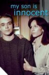 My Son Is Innocent Movie Streaming Online Watch on Tubi