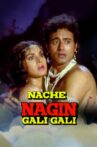 Nache Nagin Gali Gali Movie Streaming Online Watch on Disney Plus Hotstar, Shemaroo Me