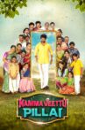 Namma Veettu Pillai Movie Streaming Online Watch on MX Player, Sun NXT