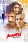 Neevevaro Movie Streaming Online Watch on MX Player, Netflix , Voot