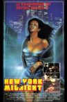 New York After Midnight Movie Streaming Online Watch on MX Player