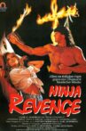 Ninja Vengeance Movie Streaming Online Watch on Tubi
