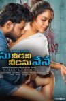 Ninu Veedani Needanu Nene Movie Streaming Online Watch on Amazon