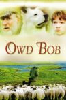 Owd Bob Movie Streaming Online Watch on Tubi