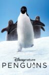 Penguins Movie Streaming Online Watch on Disney Plus Hotstar