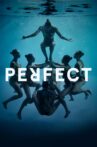 Perfect Movie Streaming Online Watch on Tubi