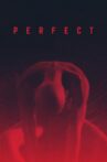 Perfect Movie Streaming Online Watch on Tubi