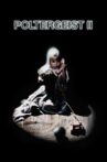 Poltergeist II: The Other Side Movie Streaming Online Watch on Tubi