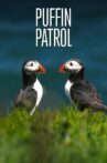 Puffin Patrol Movie Streaming Online Watch on C Good Tv
