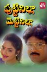 Puttinilla Mettinilla Movie Streaming Online Watch on MX Player, Sun NXT