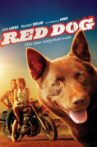 Red Dog Movie Streaming Online Watch on Tubi