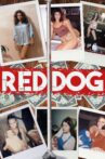 Red Dog Movie Streaming Online Watch on Tubi