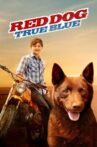 Red Dog: True Blue Movie Streaming Online Watch on Viu