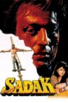 Sadak Movie Streaming Online Watch on Google Play, Youtube, iTunes