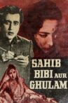 Sahib Bibi Aur Ghulam Movie Streaming Online Watch on Amazon
