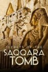 Secrets of the Saqqara Tomb Movie Streaming Online Watch on Netflix