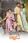Shailaja Reddy Alludu Movie Streaming Online Watch on Zee5