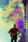 Sky Ladder: The Art of Cai Guo-Qiang Movie Streaming Online Watch on Netflix