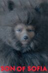 Son of Sofia Movie Streaming Online Watch on Tubi