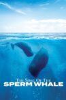Song of the Sperm Whale Movie Streaming Online Watch on Curiosity Stream