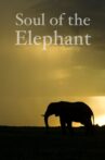 Soul of the Elephant Movie Streaming Online Watch on Disney Plus Hotstar