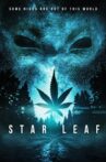 Star Leaf Movie Streaming Online Watch on Tubi