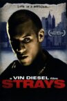 Strays Movie Streaming Online Watch on Tubi