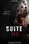 Suite 313 Movie Streaming Online Watch on Tubi