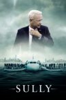 Sully Movie Streaming Online Watch on Google Play, Hungama, Tata Sky , Youtube, iTunes