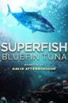 Superfish Bluefin Tuna Movie Streaming Online Watch on Amazon