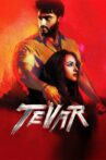Tevar Movie Streaming Online Watch on ErosNow, Jio Cinema, Voot, iTunes