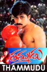 Thammudu Movie Streaming Online Watch on Amazon, ErosNow, Google Play, Jio Cinema, Voot, Youtube