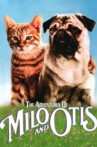 The Adventures of Milo and Otis Movie Streaming Online Watch on Tubi
