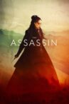 The Assassin Movie Streaming Online Watch on MX Player, Tubi