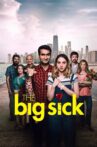 The Big Sick Movie Streaming Online Watch on Amazon, Google Play, Youtube, iTunes