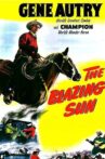The Blazing Sun Movie Streaming Online Watch on Netflix