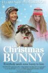 The Christmas Bunny Movie Streaming Online Watch on Tubi