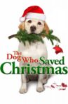 The Dog Who Saved Christmas Movie Streaming Online Watch on Tubi