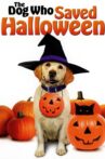 The Dog Who Saved Halloween Movie Streaming Online Watch on Tubi