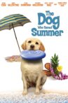The Dog Who Saved Summer Movie Streaming Online Watch on Tubi