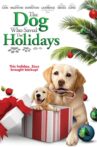 The Dog Who Saved the Holidays Movie Streaming Online Watch on Tubi