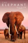 The Elephant Queen Movie Streaming Online Watch on Apple Tv Plus