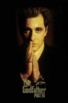 The Godfather: Part III Movie Streaming Online Watch on Amazon, Google Play, Jio Cinema, Netflix , Youtube, iTunes