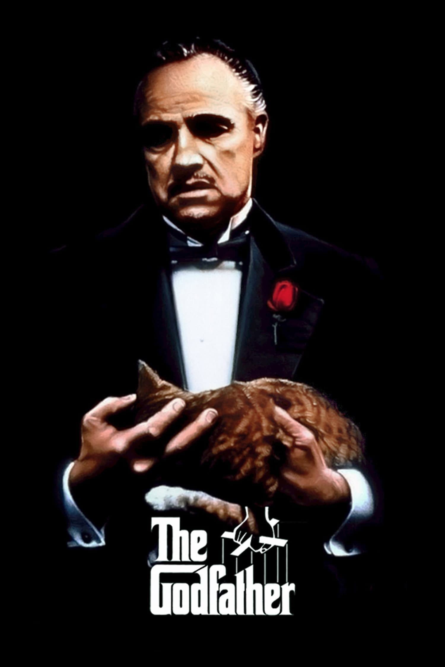 The Godfather Hindi Movie Streaming Online Watch on Amazon, Book My