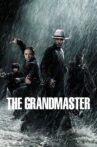 The Grandmaster Movie Streaming Online Watch on Tubi