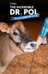 The Incredible Dr. Pol Blue Ribbon Kids Movie Streaming Online Watch on Disney Plus Hotstar