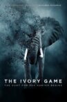 The Ivory Game Movie Streaming Online Watch on Netflix