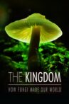 The Kingdom: How Fungi Made Our World Movie Streaming Online Watch on Curiosity Stream