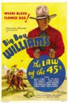The Law of 45's Movie Streaming Online Watch on MX Player, Tubi