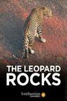 The Leopard Rocks Movie Streaming Online Watch on Disney Plus Hotstar